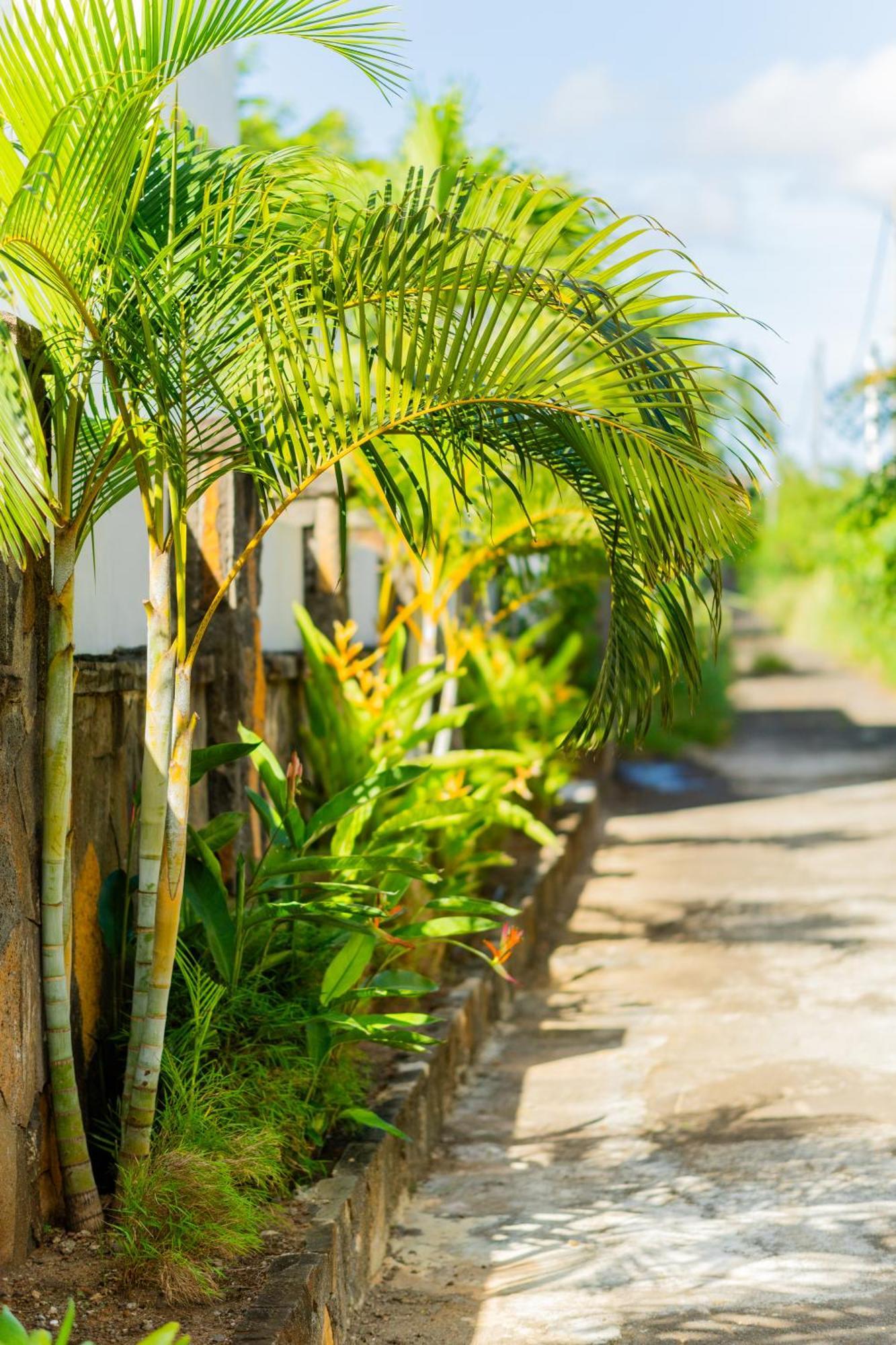 Palm Biche Residence Trou aux Biches Kültér fotó